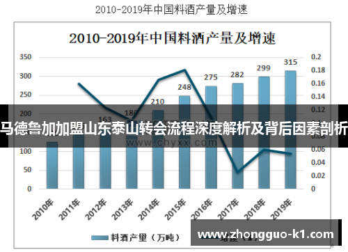 马德鲁加加盟山东泰山转会流程深度解析及背后因素剖析